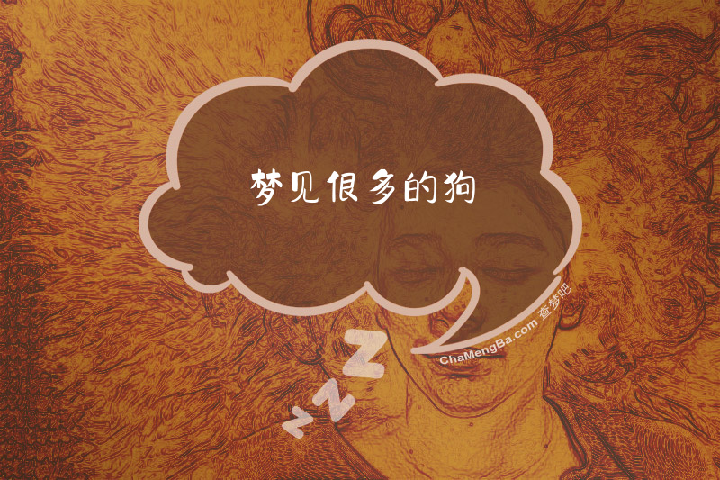 梦见很多的狗