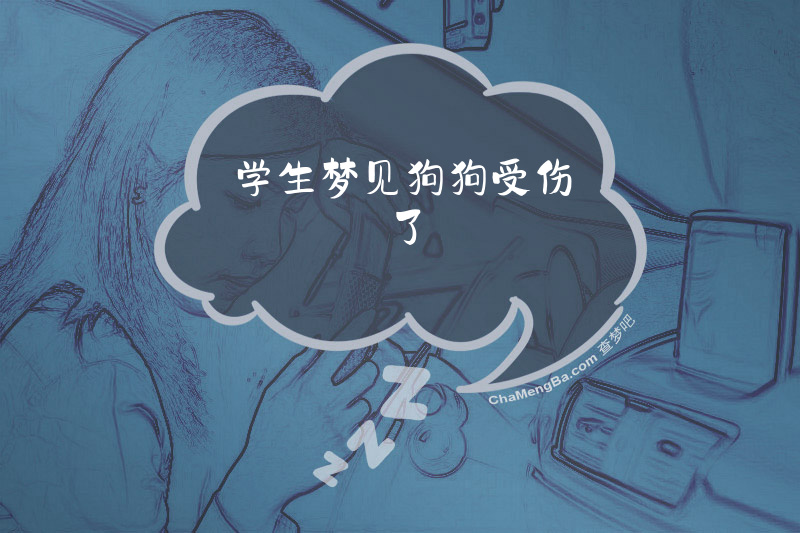 学生梦见狗狗受伤了