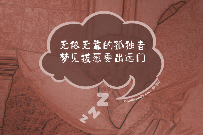 无依无靠的孤独者梦见拔葱要出远门