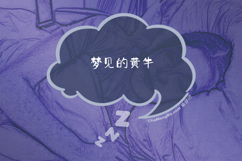 梦见的黄牛