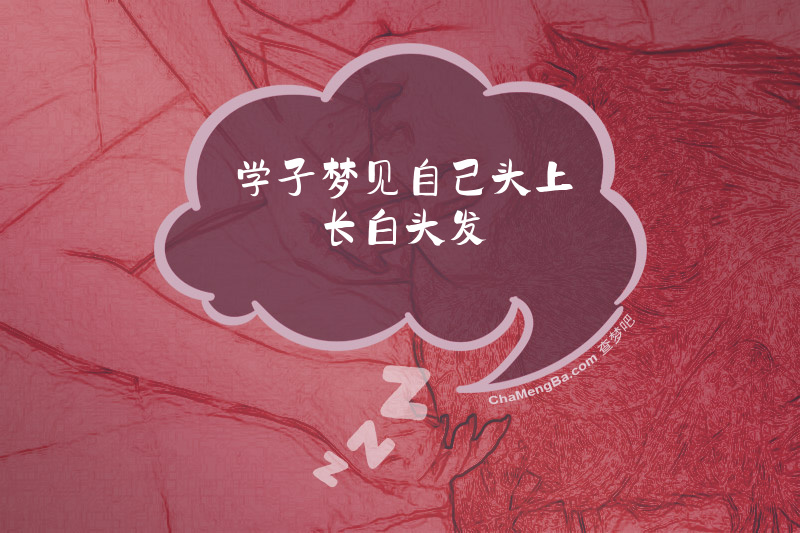 学子梦见自己头上长白头发