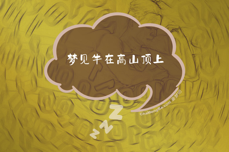 梦见牛在高山顶上