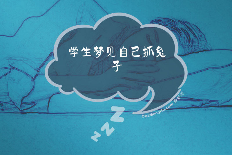 学生梦见自己抓兔子
