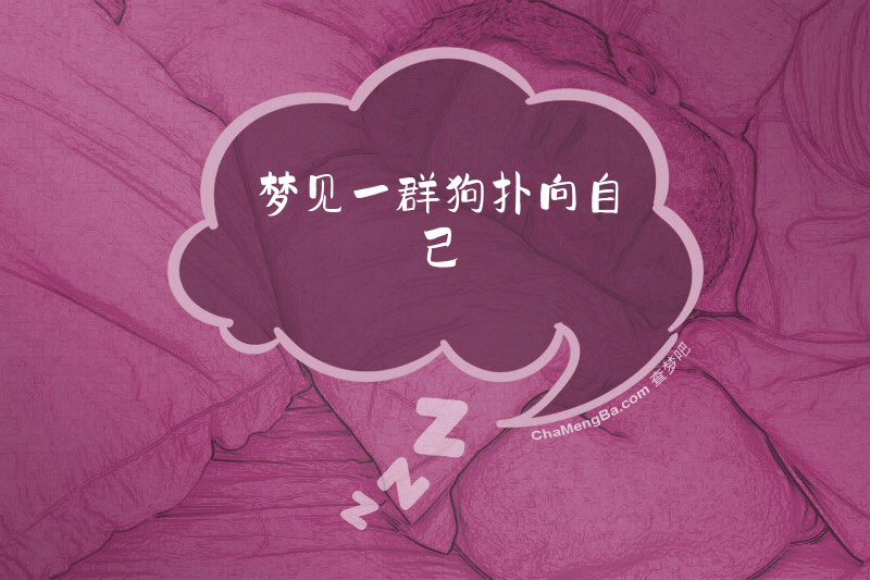 梦见一群狗扑向自己