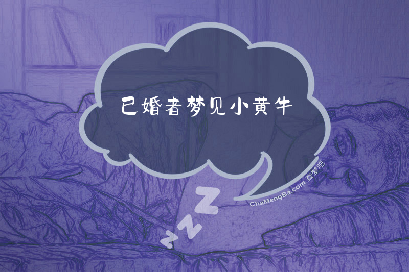 已婚者梦见小黄牛