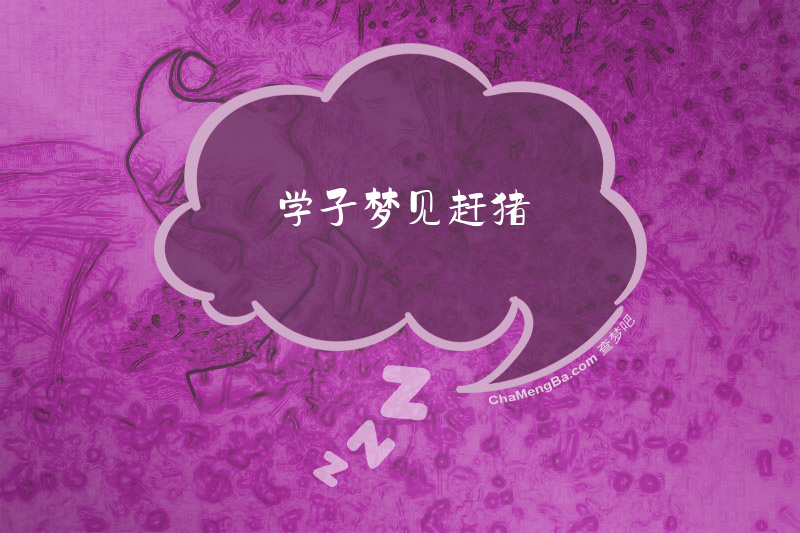学子梦见赶猪