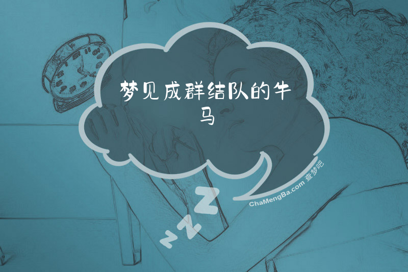 梦见成群结队的牛马