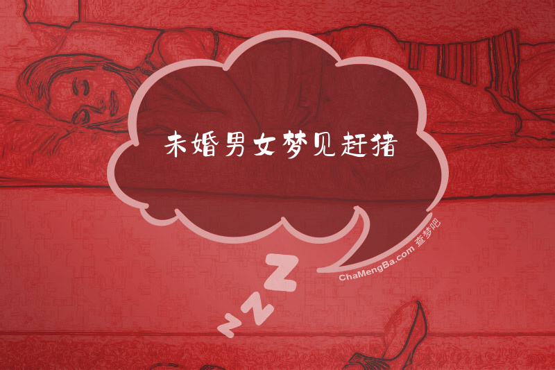 未婚男女梦见赶猪