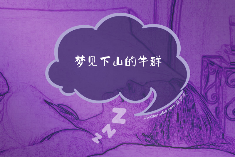梦见下山的牛群