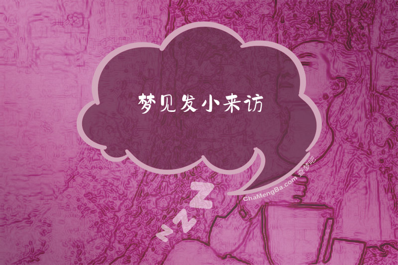 梦见发小来访