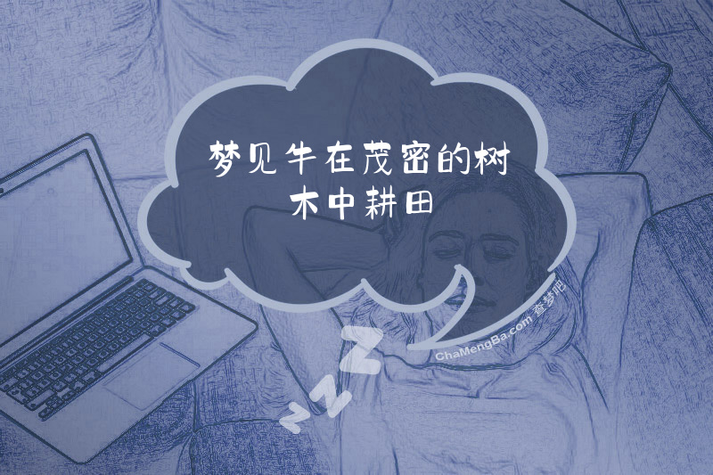 梦见牛在茂密的树木中耕田