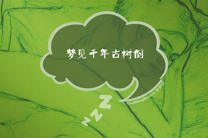 梦见千年古树倒