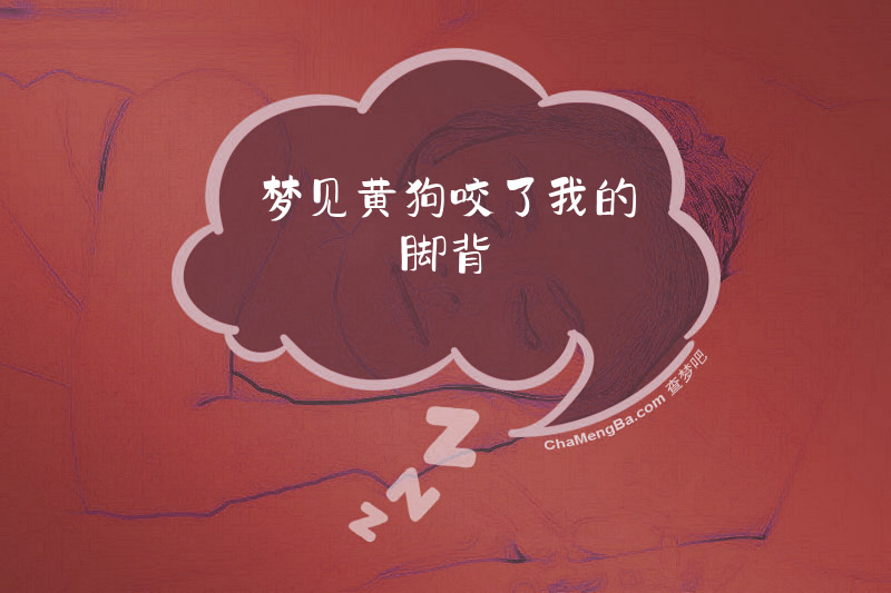 梦见黄狗咬了我的脚背