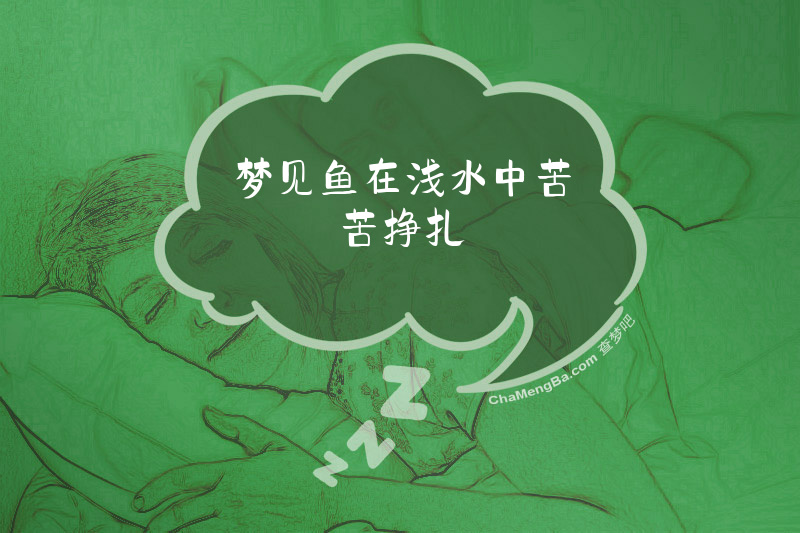 梦见鱼在浅水中苦苦挣扎