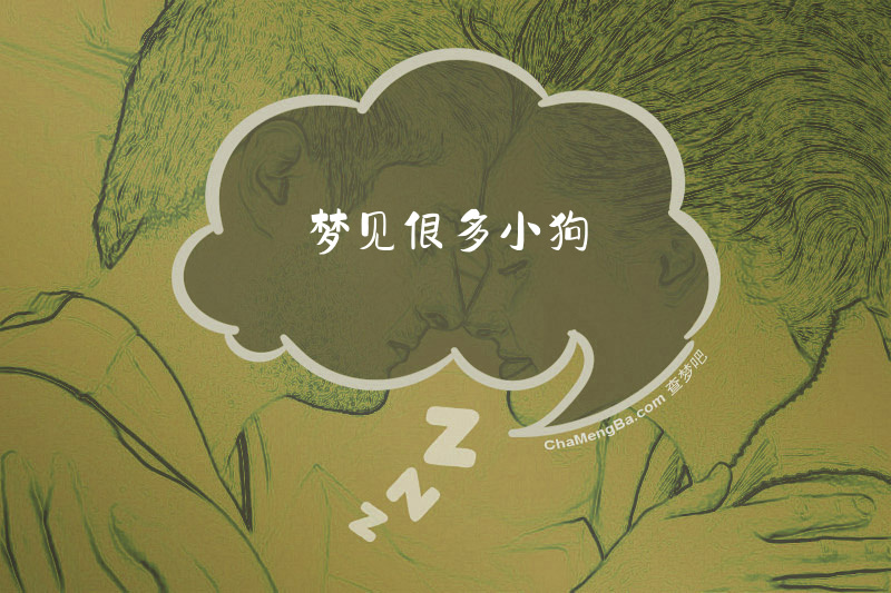 梦见很多小狗