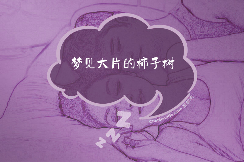 梦见大片的柿子树