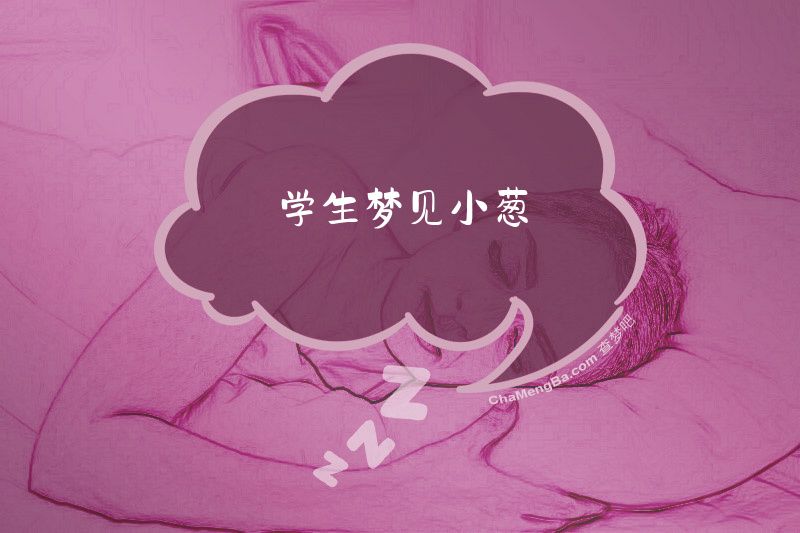 学生梦见小葱
