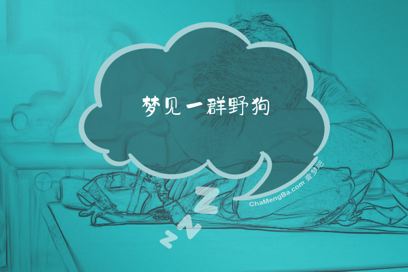 梦见一群野狗