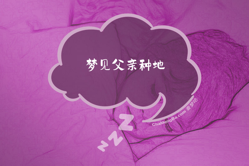 梦见父亲种地