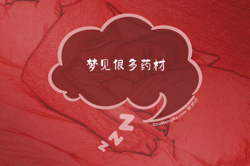 梦见很多药材
