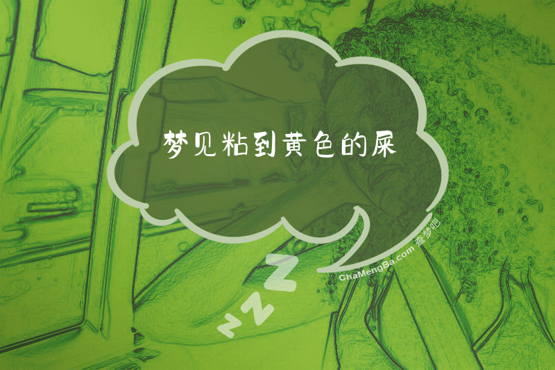梦见粘到黄色的屎