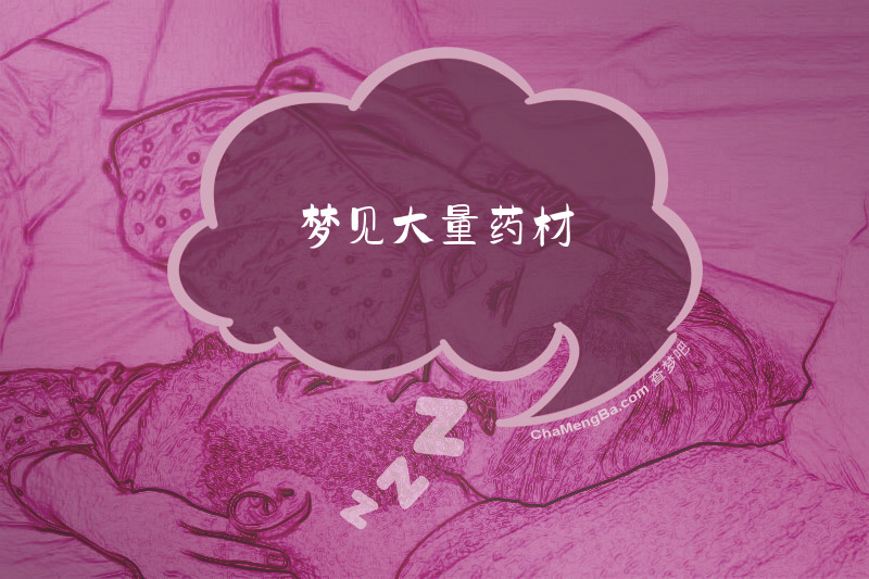 梦见大量药材