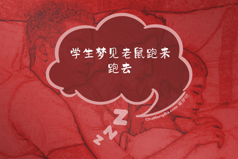 学生梦见老鼠跑来跑去