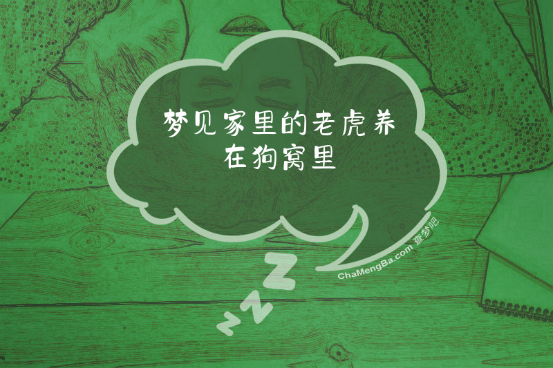梦见家里的老虎养在狗窝里