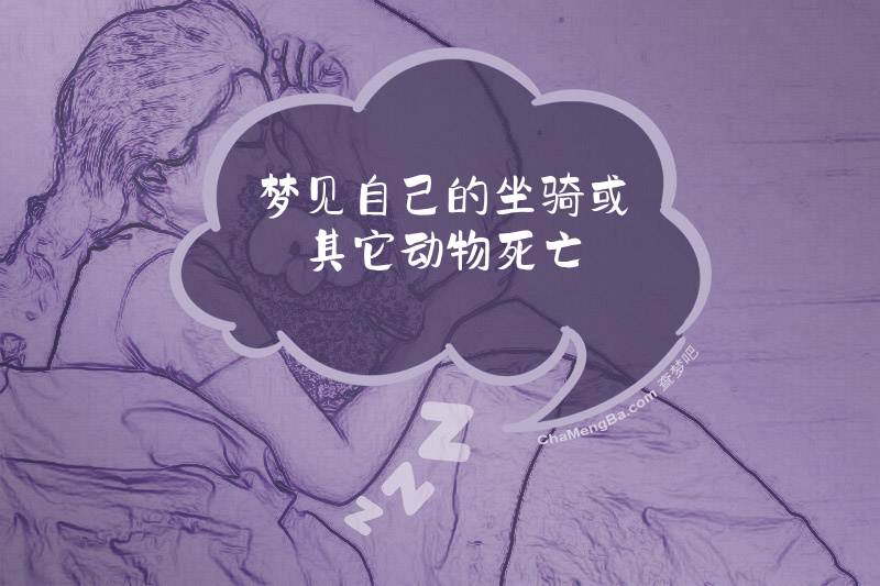 梦见自己的坐骑或其它动物死亡
