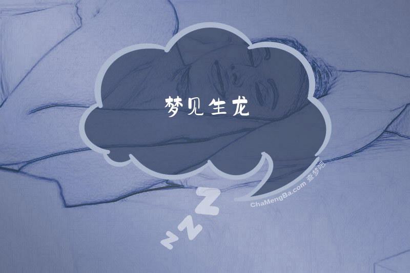 梦见生龙