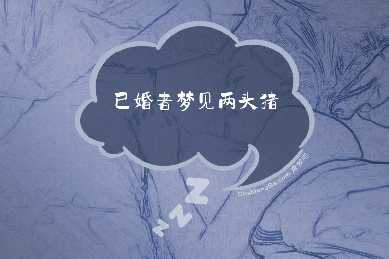 已婚者梦见两头猪