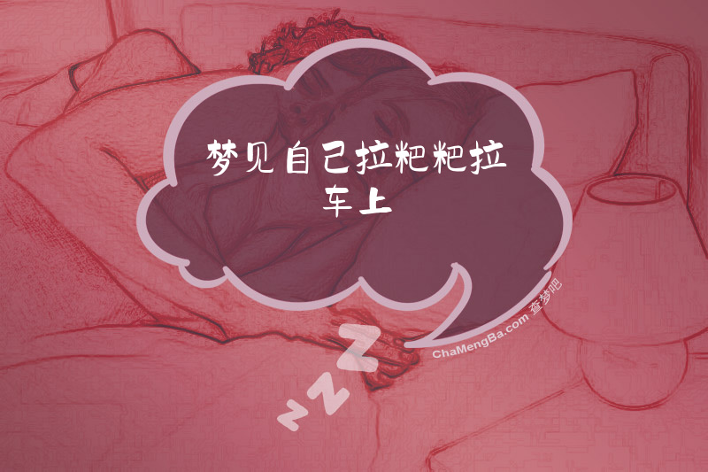 梦见自己拉粑粑拉车上