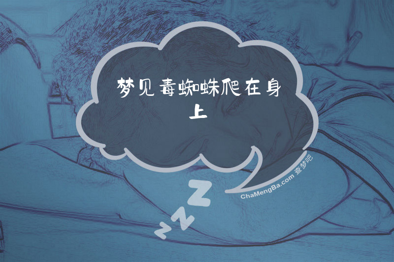 梦见毒蜘蛛爬在身上