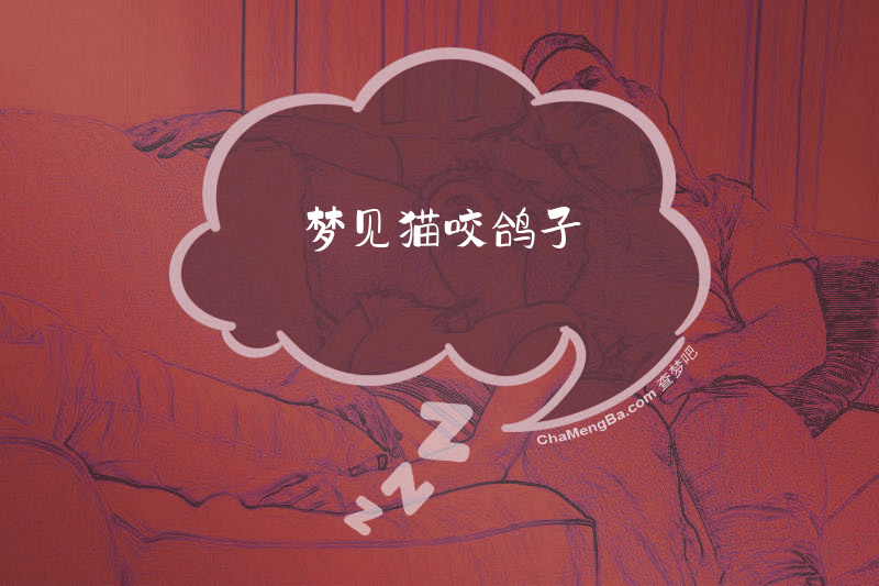 梦见猫咬鸽子