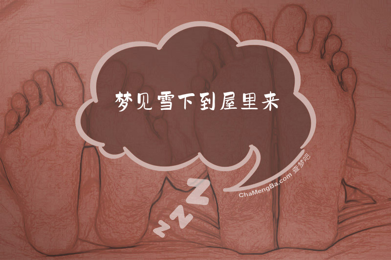 梦见雪下到屋里来