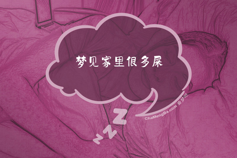 梦见家里很多屎
