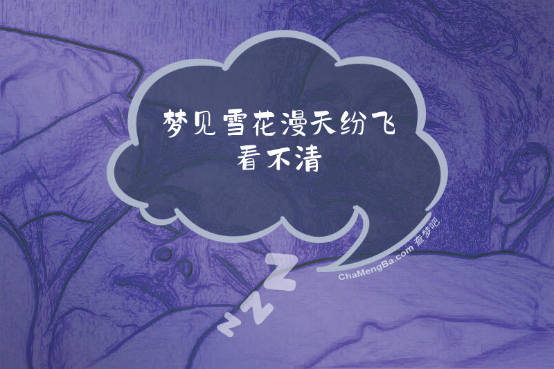 梦见雪花漫天纷飞看不清
