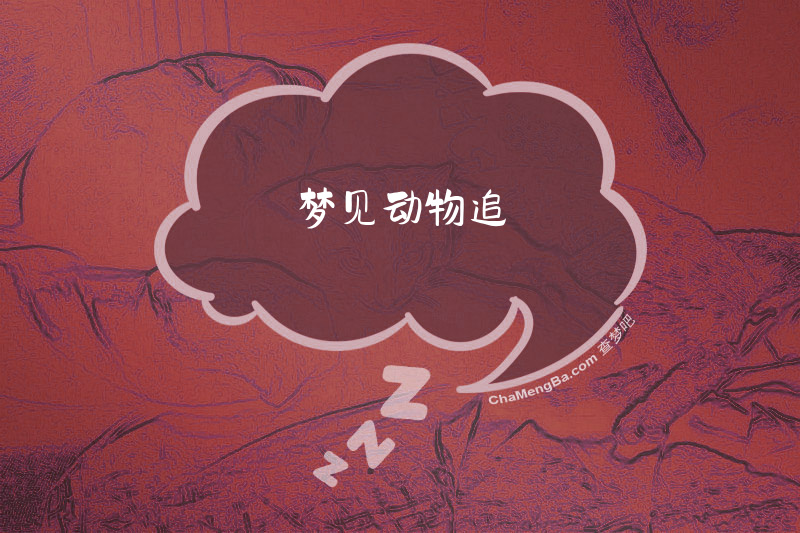 梦见动物追