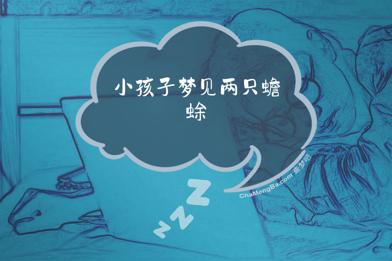 小孩子梦见两只蟾蜍