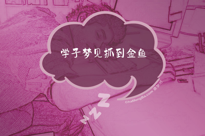 学子梦见抓到金鱼