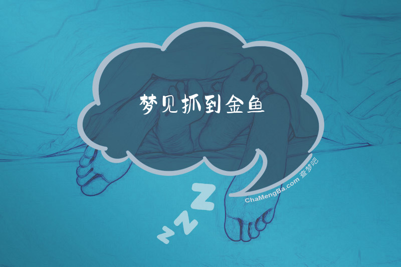 梦见抓到金鱼