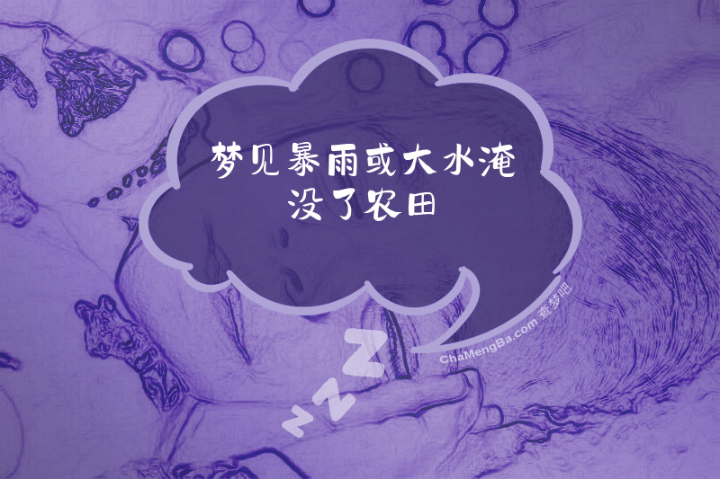 梦见暴雨或大水淹没了农田