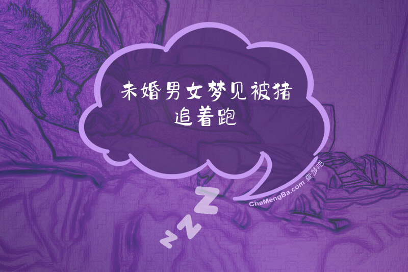 未婚男女梦见被猪追着跑