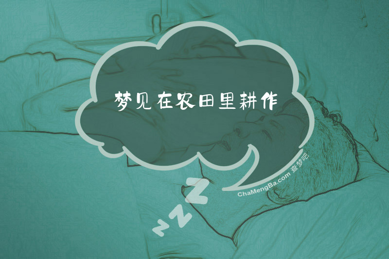 梦见在农田里耕作