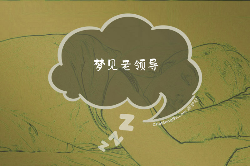 梦见老领导