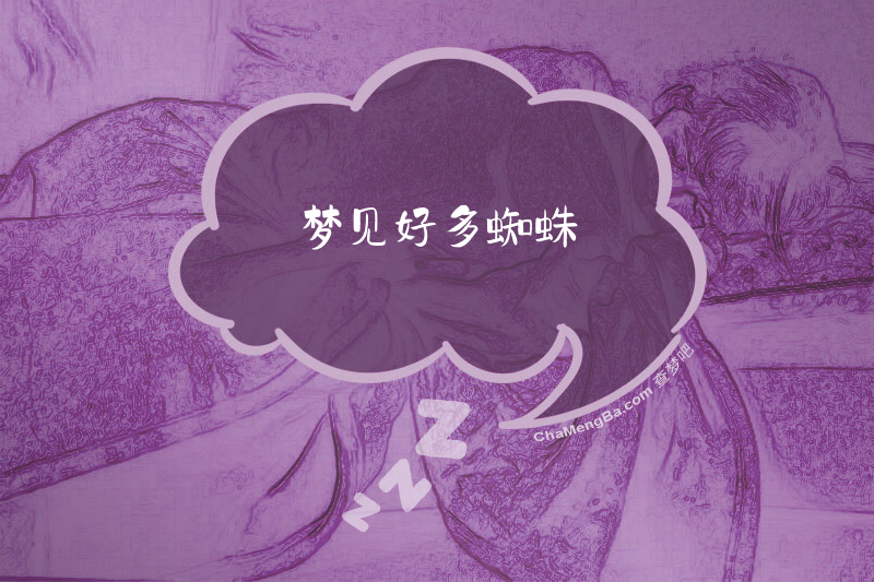 梦见好多蜘蛛