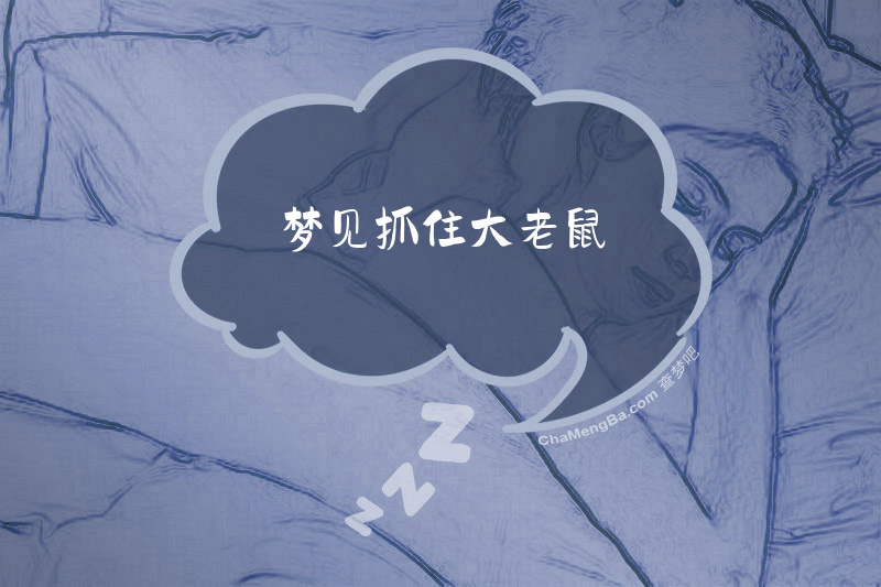 梦见抓住大老鼠