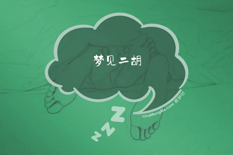 梦见二胡
