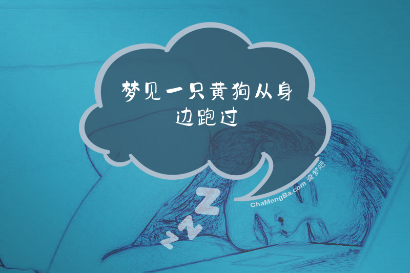 梦见一只黄狗从身边跑过