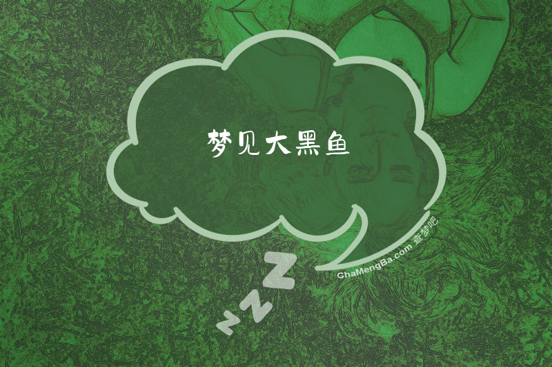 梦见大黑鱼